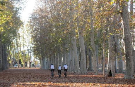 Piso céntrico de 3 habitaciones con terraza y vistas - Foto 50