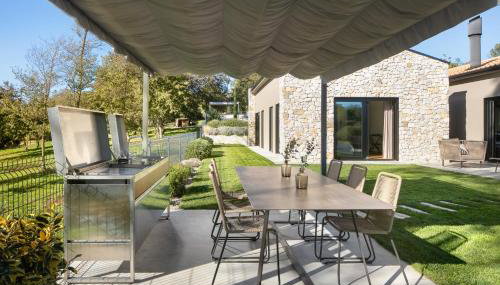 Ulmus - Foto 4, Other