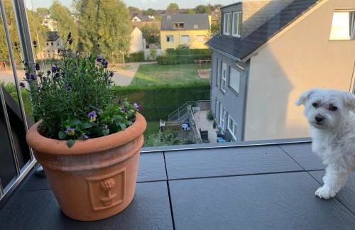 Apartment Brander Blick - Foto 18