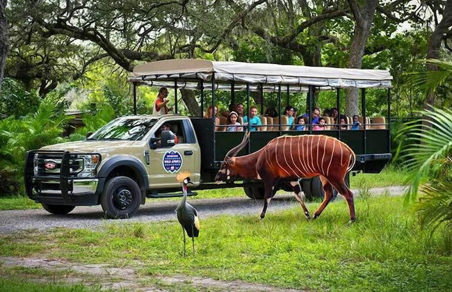 Tampa Family Bungalows - Foto 24
