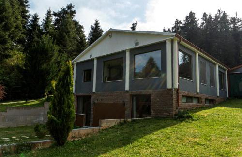 ECO VILLA OLYMPUS with sauna and swimming pool - Foto 27