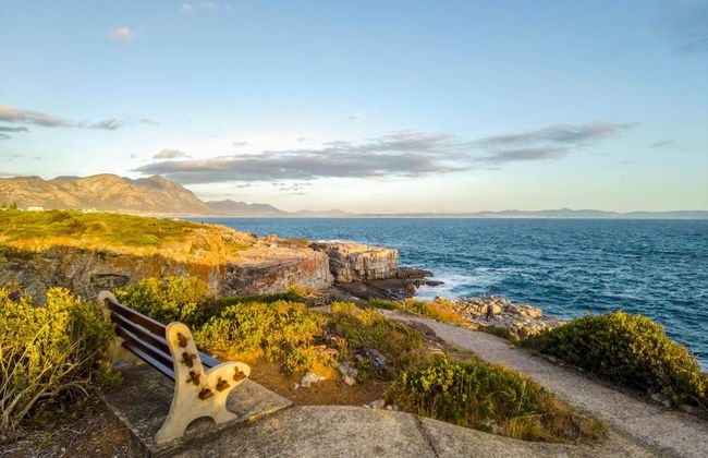 38 on Westcliff - Photo 15