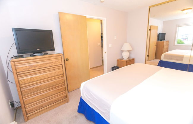 The Grey Gull - Foto 60