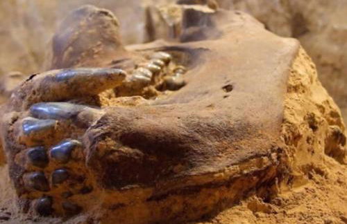 Tipico rustico Toscano vicino alle Cinque Terre - Foto 24