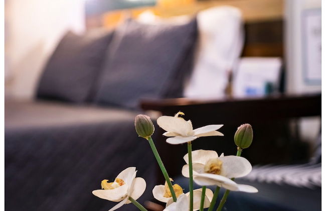 Avida Towers Sucat - Foto 14