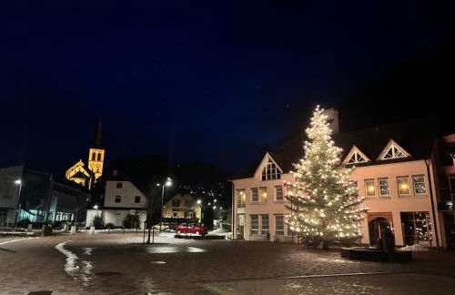 Haus Steiner - Ruhige, top bewertete Ferienwohnung in Lauterbach - Schwarzwald - Foto 55