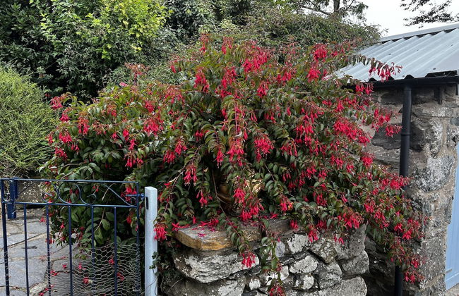Beautiful Cottage Near Harlech With Ocean Views - Foto 34