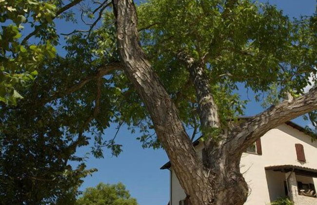 Agriturismo Zafferano e Dintorni - Foto 54