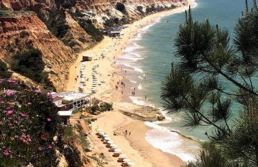 Apt H - Beach Village - Foto 20