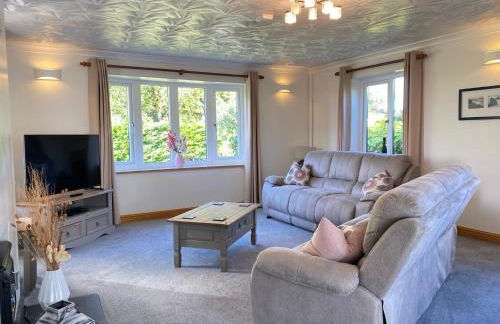 Buena Vista - Foto 10