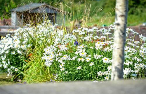 2 Bed in Llannor oc-cysgul - Photo 27