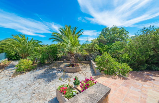 Barcelo-danus in Portocolom - Foto 11