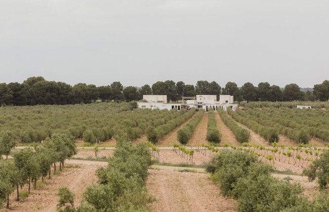 Finca Luz de Alba - Foto 50