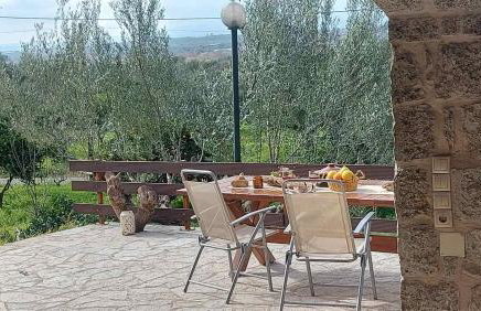 homonatura petrinum - Foto 26