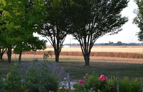 Holiday Home in Chilleurs near Château - Foto 19