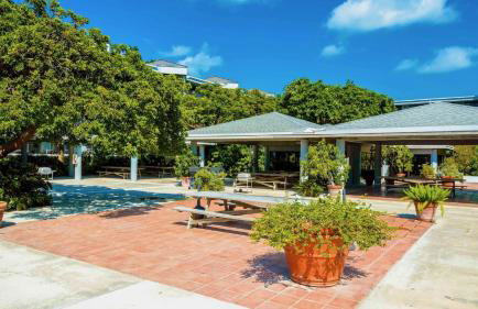 Conch in the Treetops by Last Key Realty - Foto 37