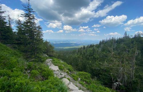 Apartament Zielone Wzgórze 2 - Foto 67