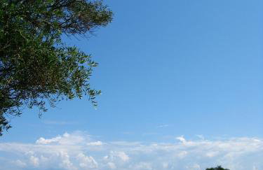 Aroggia Farm - Foto 42