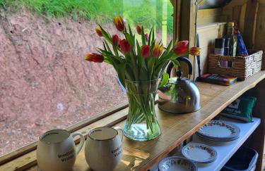 Sauna, Hot Tub & Cold Plunge Pyramid Escape - Foto 21