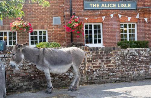 Little Patch - Foto 44