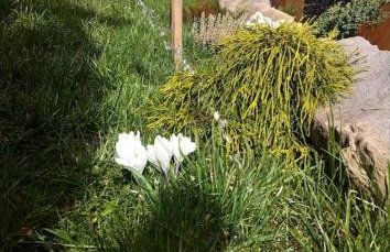 TATRA HOMES domek z jacuzzi - Foto 49