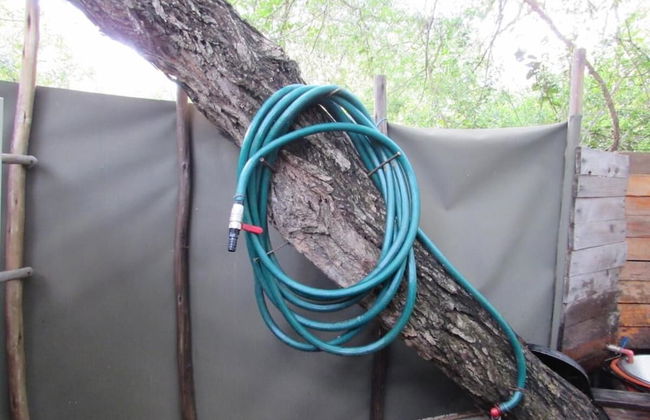 3 bed Bush-tent Under 3 Trees, for Couple Plus Chaperone Free Lionhyena Sounds - Foto 26