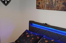 Beauval Saint Aignan,châteaux de la Loire gîte Le Royaume Sauvage - Foto 10