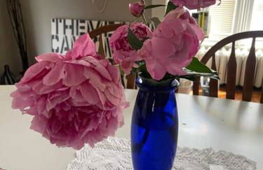 19 century Victorian Home - Foto 12