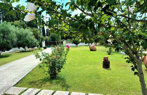 ZENIA Pelion garden house - Foto 7