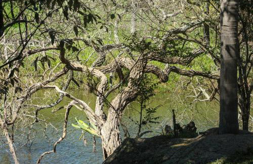 Casa Europeia com Lareira & Piscina em Indaiatuba - Foto 71
