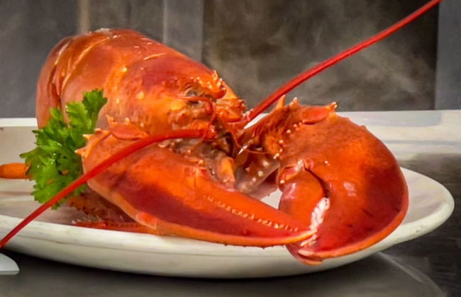 Lucky Stone Retreat - Private Beach & Acadia View - Photo 21