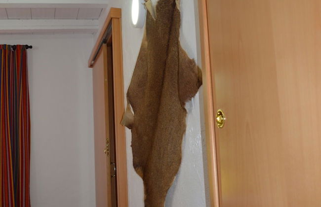 Cortijo Veracruz - Photo 5