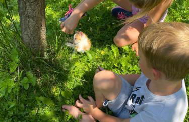 Planatschhof - Photo 62