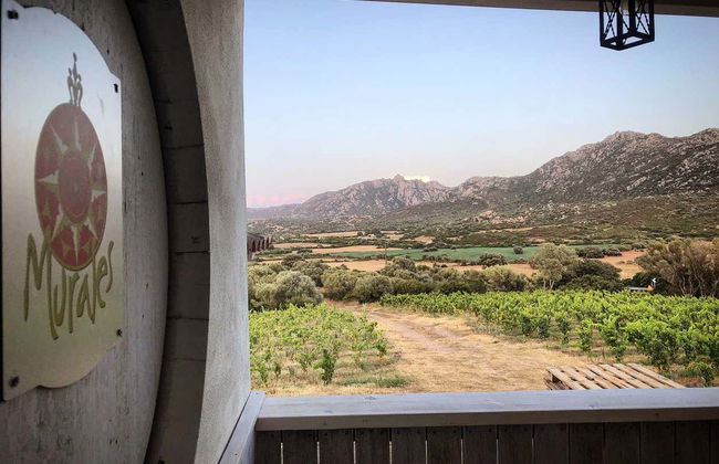 Visita à vinícola Locanda Murales com degustação - Foto 2