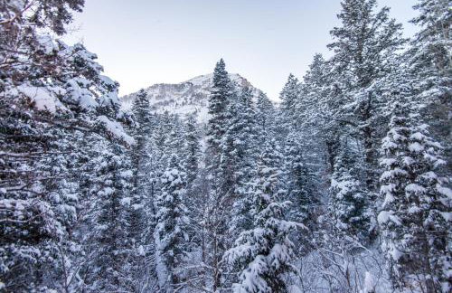 Private and Peaceful, Mtn Views, Stream, Family Friendly, Separate Guest Room - Foto 24