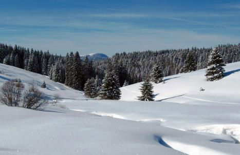 Schöne Aussicht - Foto 42