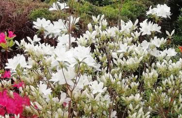 Villa Banfi - Foto 26