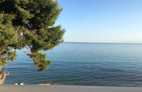 Villa Maria mola - Foto 55