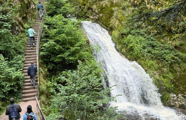 Holiday Home in Hornberg Near Triberg Falls - Foto 17