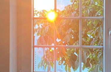 Scheunentraum Brenig - Foto 26