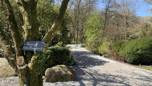 Dippers woodland setting at the Luxulyan Valley - Foto 5, Other