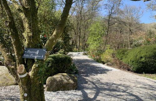 Dippers woodland setting at the Luxulyan Valley - Foto 5