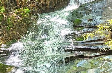 LUXURY CABIN WITH WATERVIEW AND PRIVACY, hiking - Photo 44