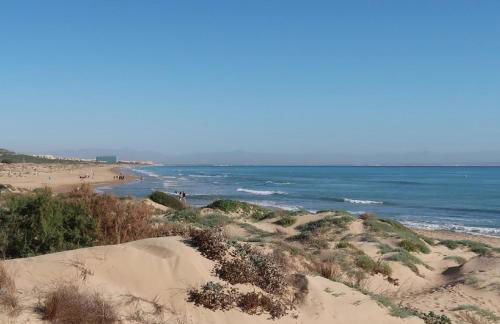 Emilia de la Playa - Foto 37