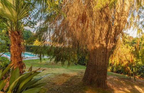VSC Apartment - Appartamento in villa storica vista lago e piscina - Photo 46