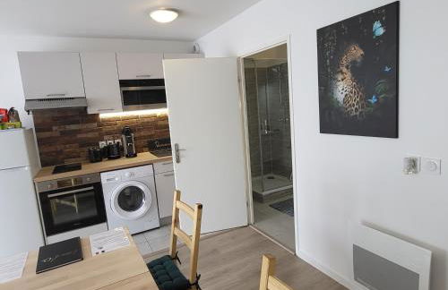 Studio cosy à 5 minutes de DISNEYLAND PARIS - Foto 32