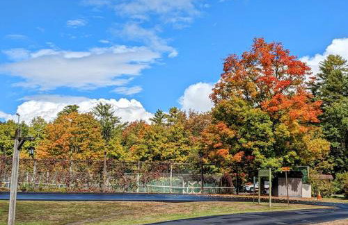 Cozy Adirondack JEM Your Four Season Getaway - Foto 15