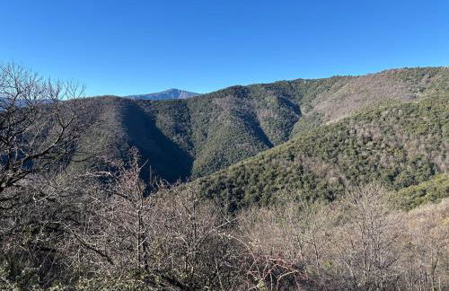 Le Châtaignier - Foto 45