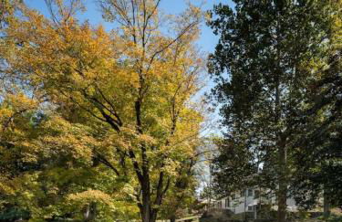 Willow Vale - Stunningly Designed Historical Icon with Hot Tub - Foto 19