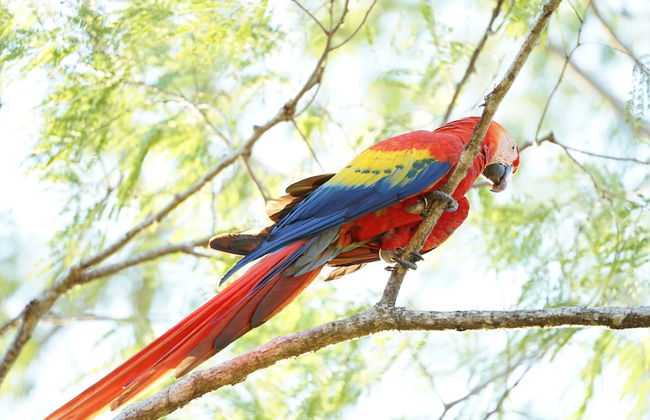 Villas Welcome to Heaven - Foto 69